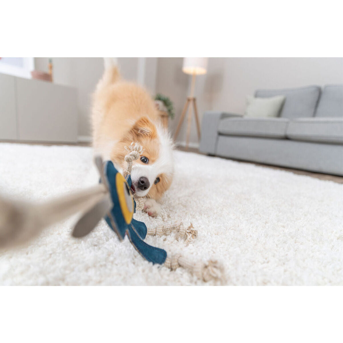 V5H5681E5FF1C9C8FF81778C99B8FBD53C2R7449079P9