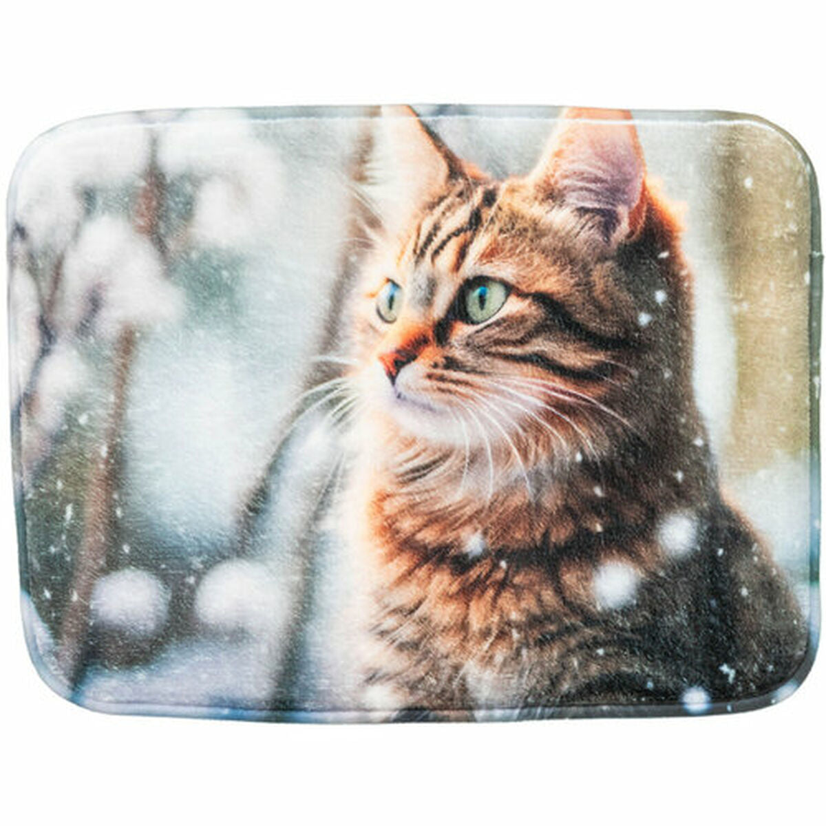 V4H8430FF70E56E42D5100D94BA39C0A4C2R7503178P3