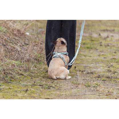 V5H9799C3F0753083B29896445A9189AFF3R7463853P5