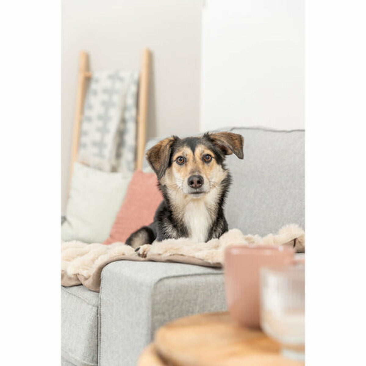 V5HC7DDEEDB1A5104ED83CE6DED87274B7CR7452680P4