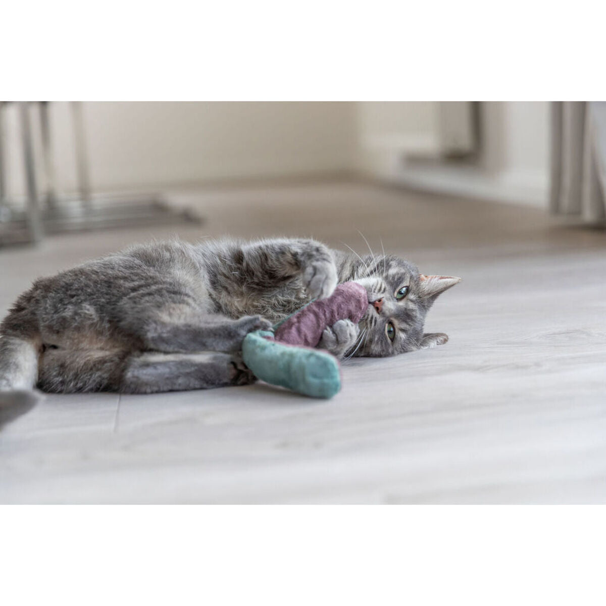 V5H815BB4234F7A4247C97548E05B398676R7462230P5