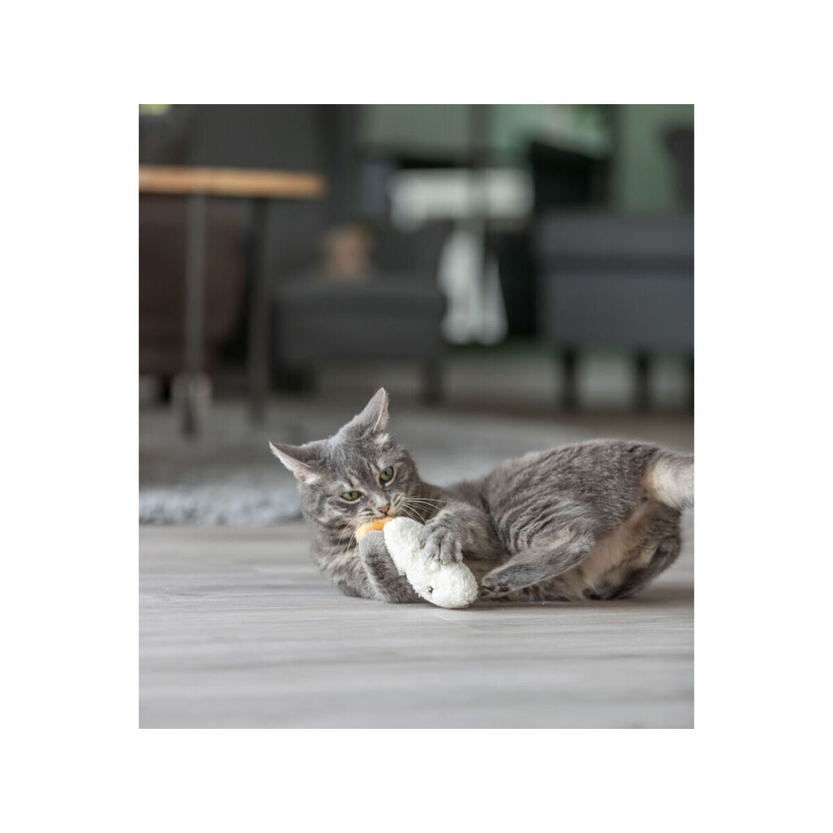 V4HB5531CF919EF967FBF812058B843912DR7463167P7