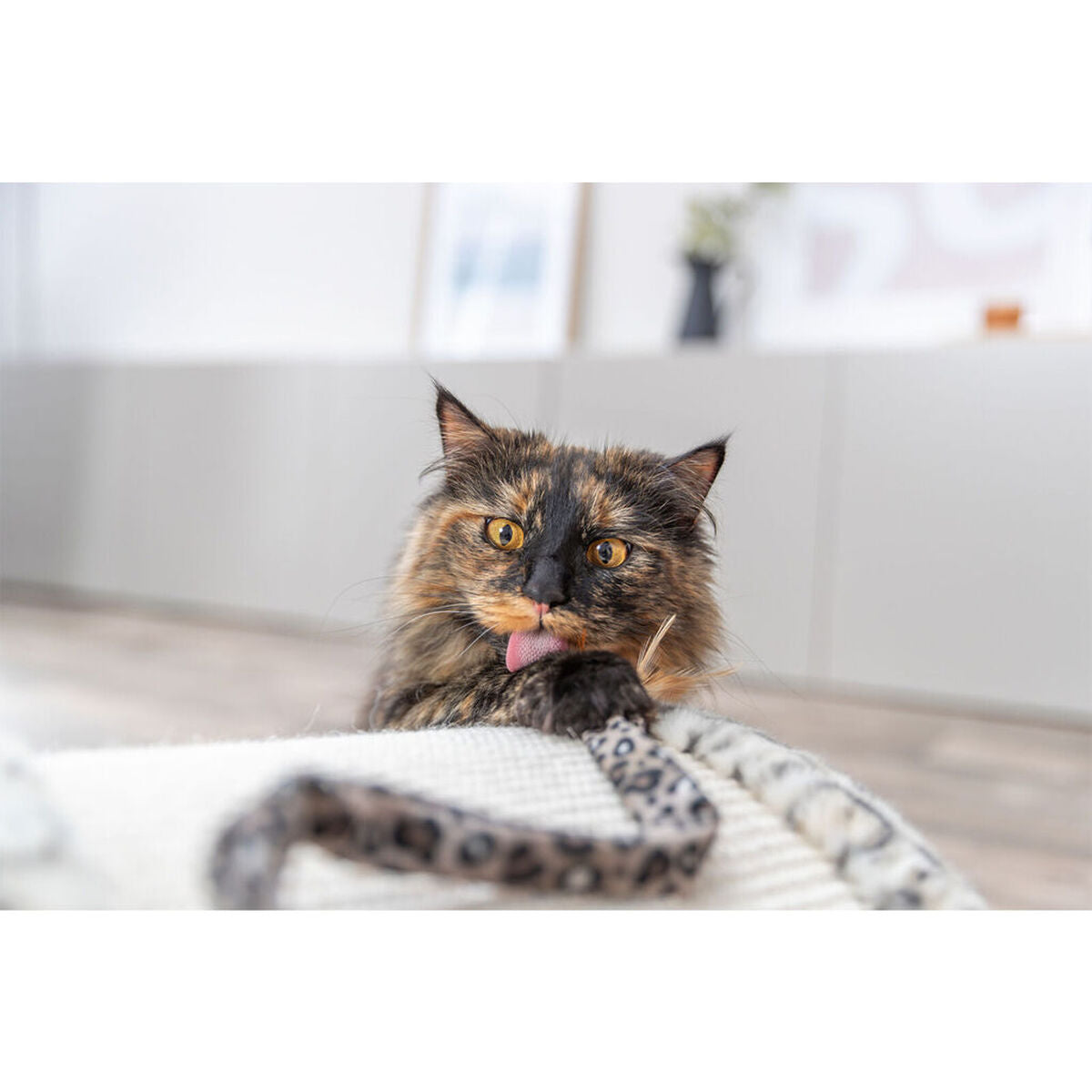 V4HA822D48794574151F126AB7E6123242ER7431711P7