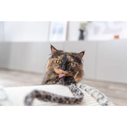 V4HA822D48794574151F126AB7E6123242ER7431711P7