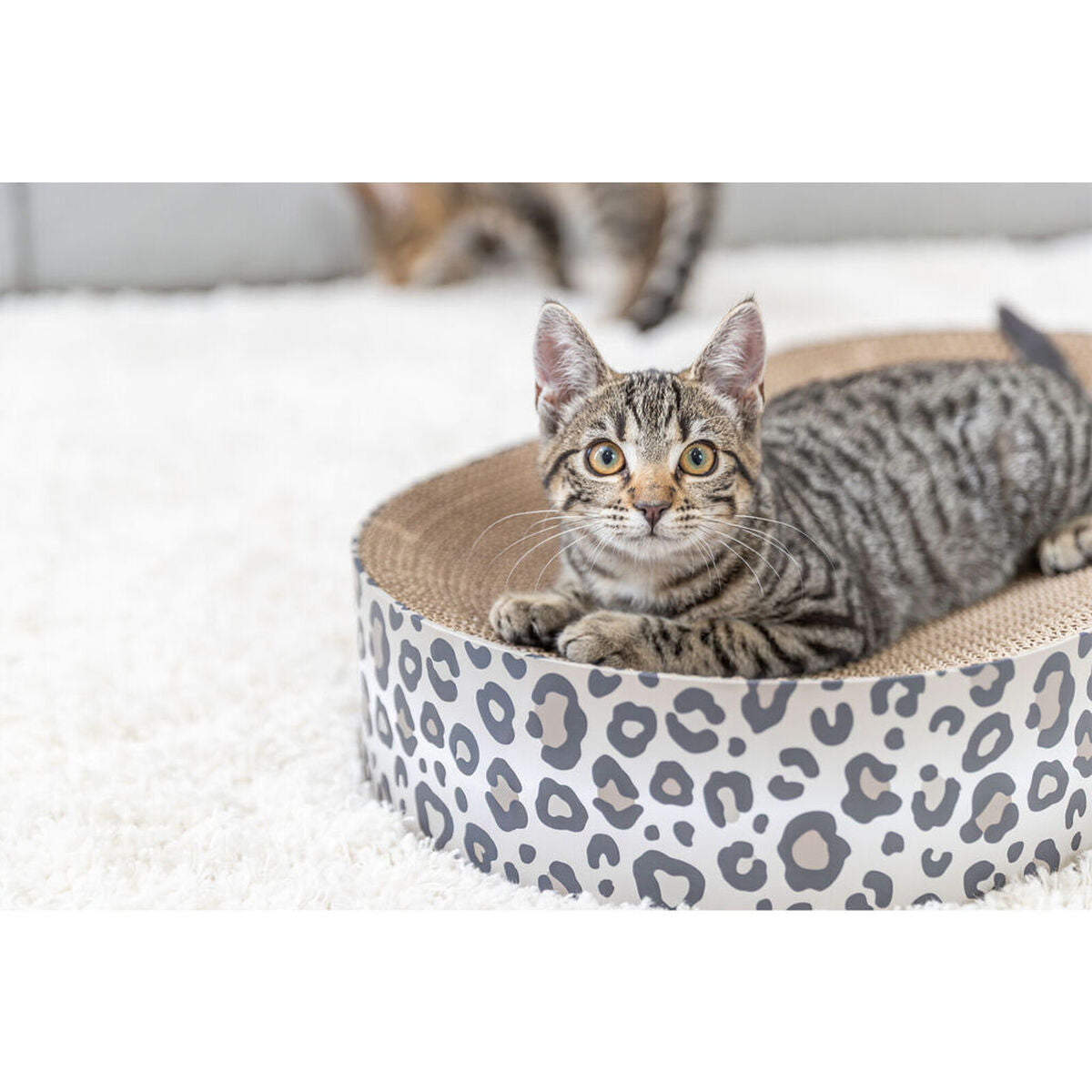 V4H0F055F3526D38F6146A51CFFC38EE6DAR7503849P3