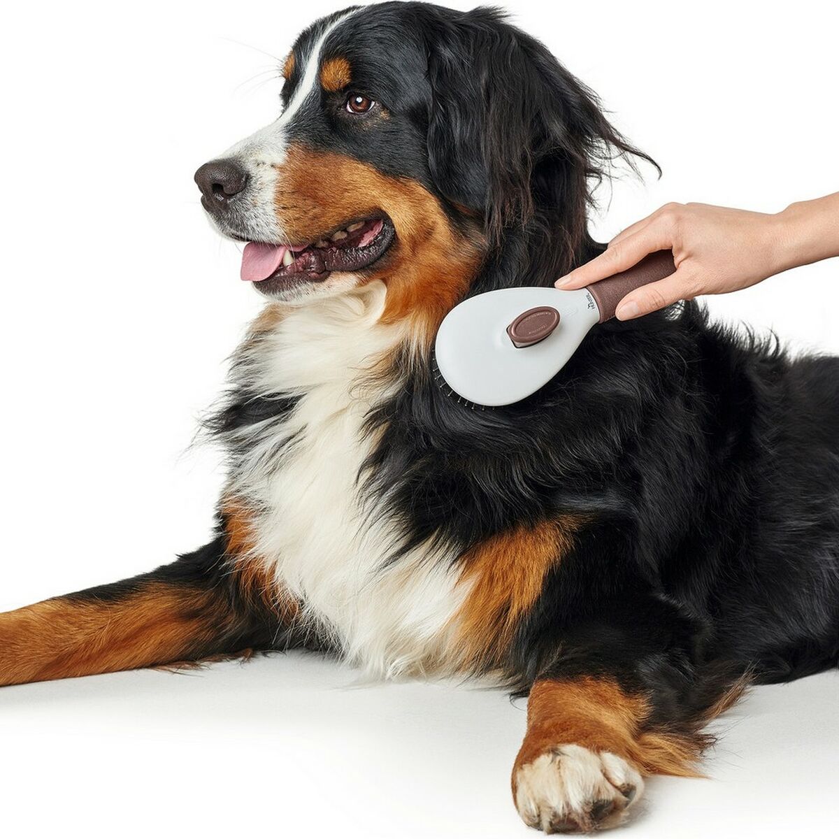 V11HDC1E4F4F9475A1652A878A81C7F37160R4014051P4