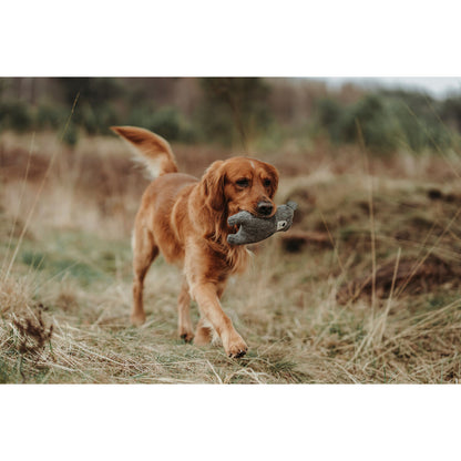 V7H1A897E172D58E67763440914589042ACR5333687P2