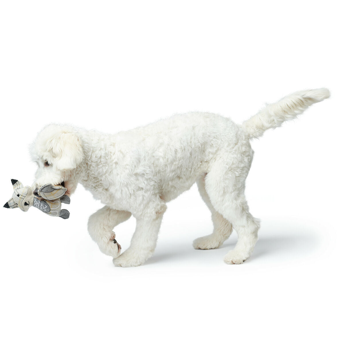 V5H8EC620E247145AF2BA259624D9B27163R5333694P2