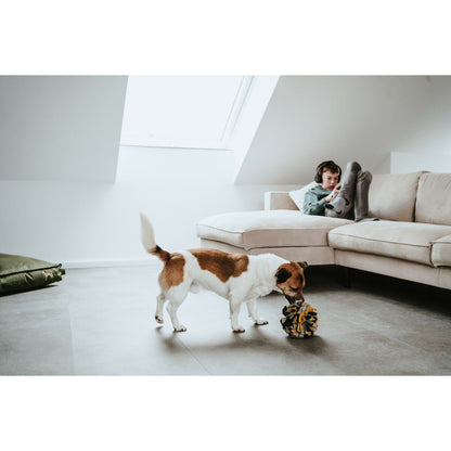 V5HEE563DB11E64FCB442CEE5D393741A75R5333597P5