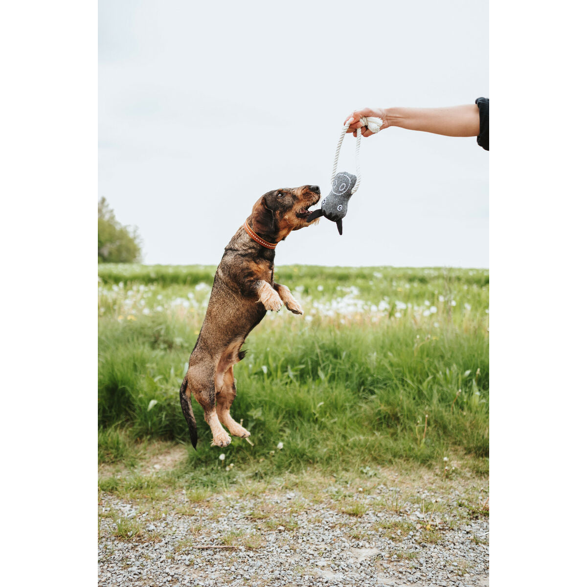 V3H8390ABE4B212883640675695653ECEBBR5574763P2