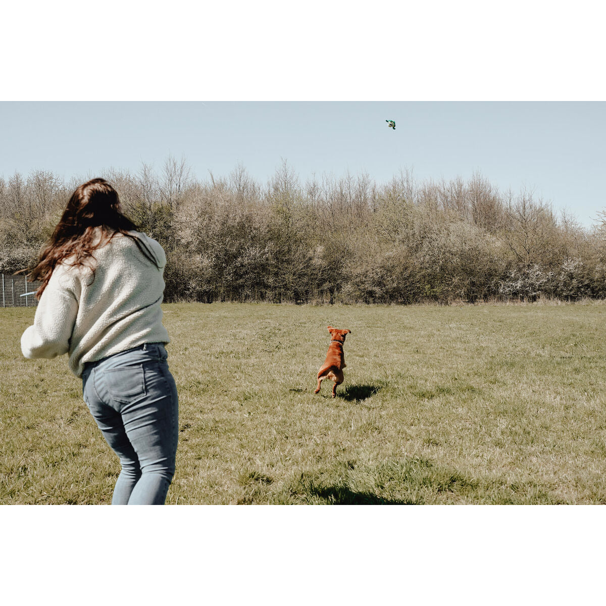 V6H4993B7F11AE04677988EEB30E3839F49R5333765P7