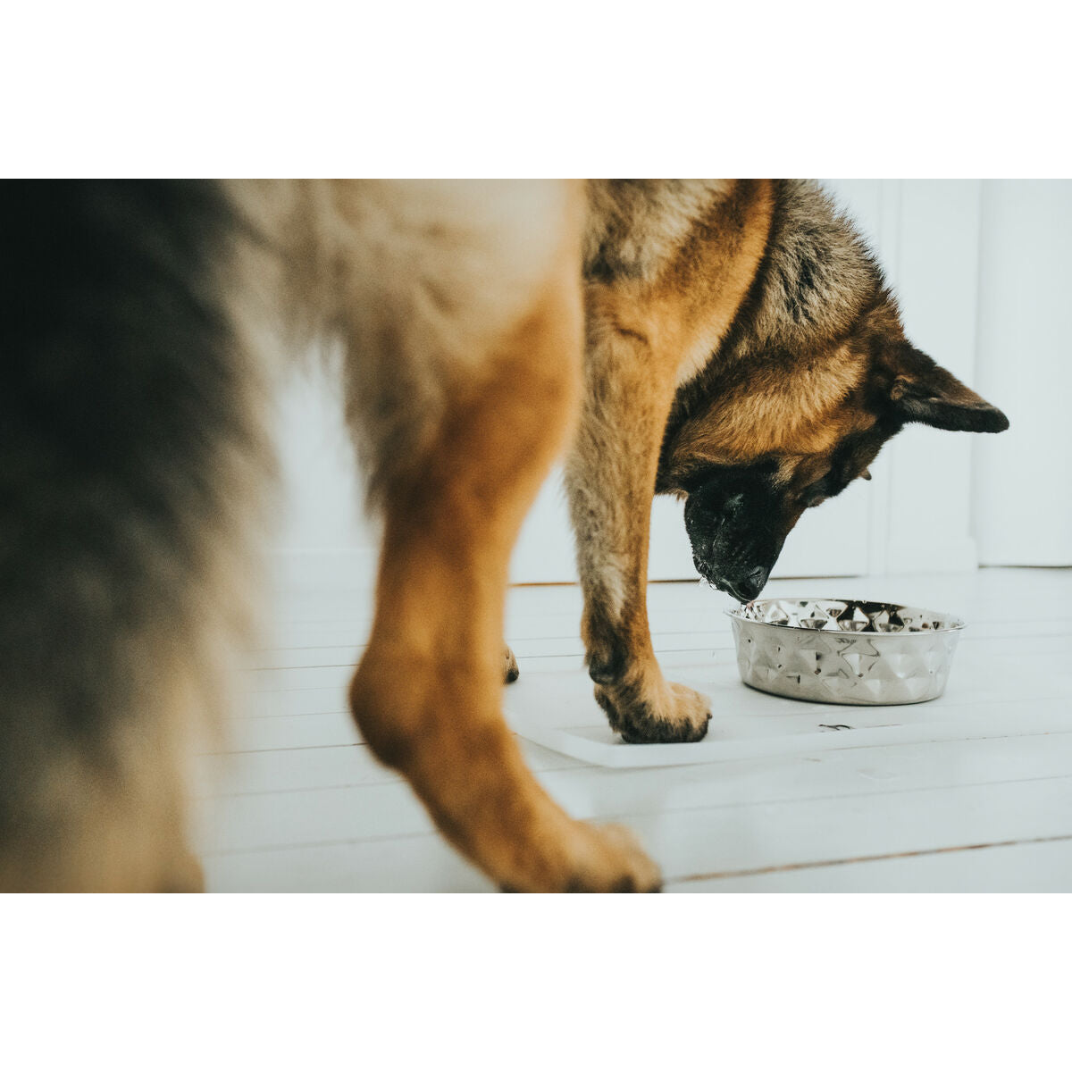 V5H48399165F75580758F24E643BA09EB35R4438093P5