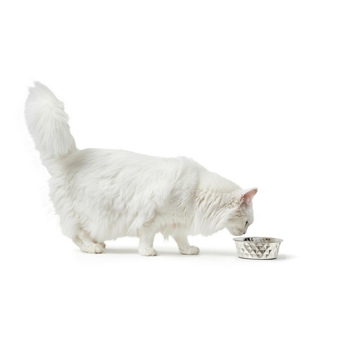 V5H2B793F1358AD786E095C0D25A1F71B97R4438166P4