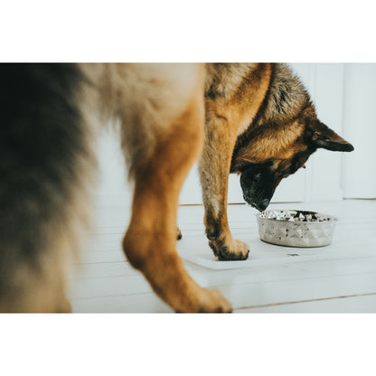 V6H63D8D19FD3505D7929975279912502E7R4438197P5