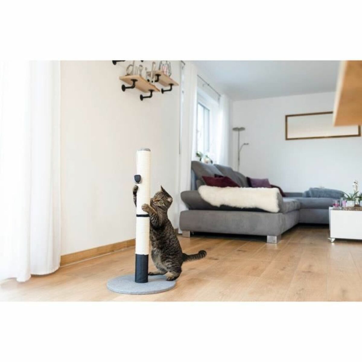 V5H9B1FC00B2AB9F081C486A85085AE6D77R5763411P4