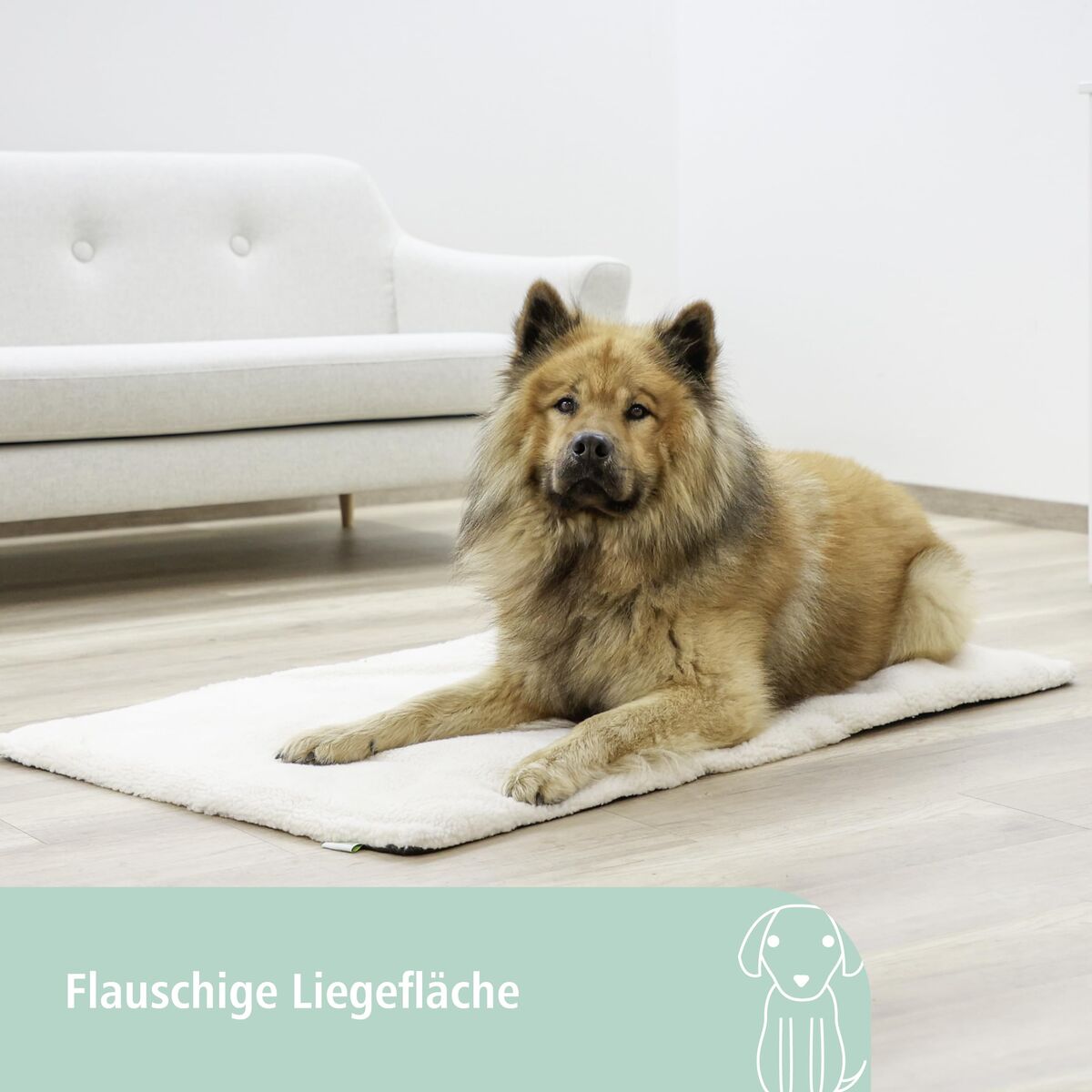 V2H3D8946C533AF8E769850E8137CC928FCR7479962P6