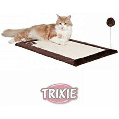 V3H3861126EB99AA978065BCBBD46F66BEER5769519P9