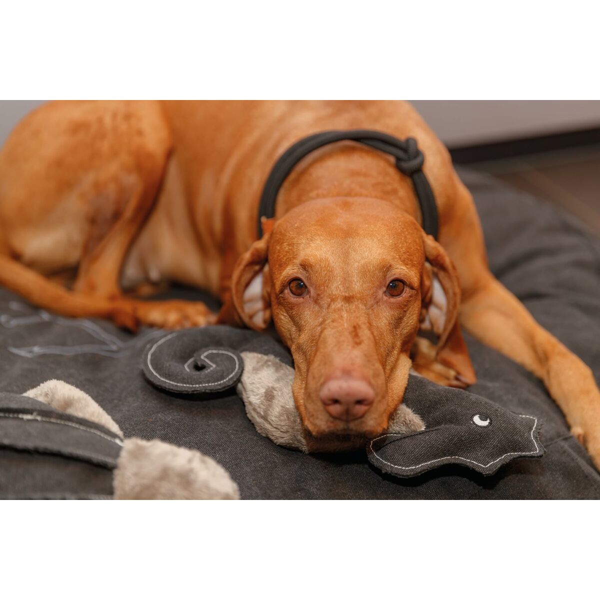 V7H346F4435A46ECBB52747AFBCDDE8DC9DR5330776P4