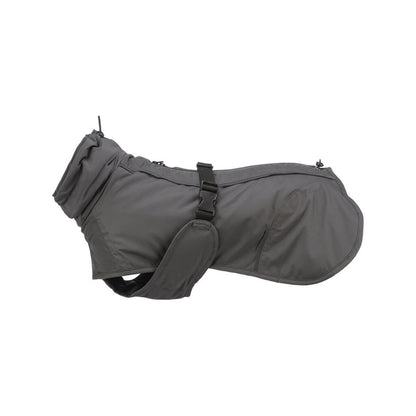 V5HA1D73FC9F2EE93793C01BC1D887639C5R7460742P1