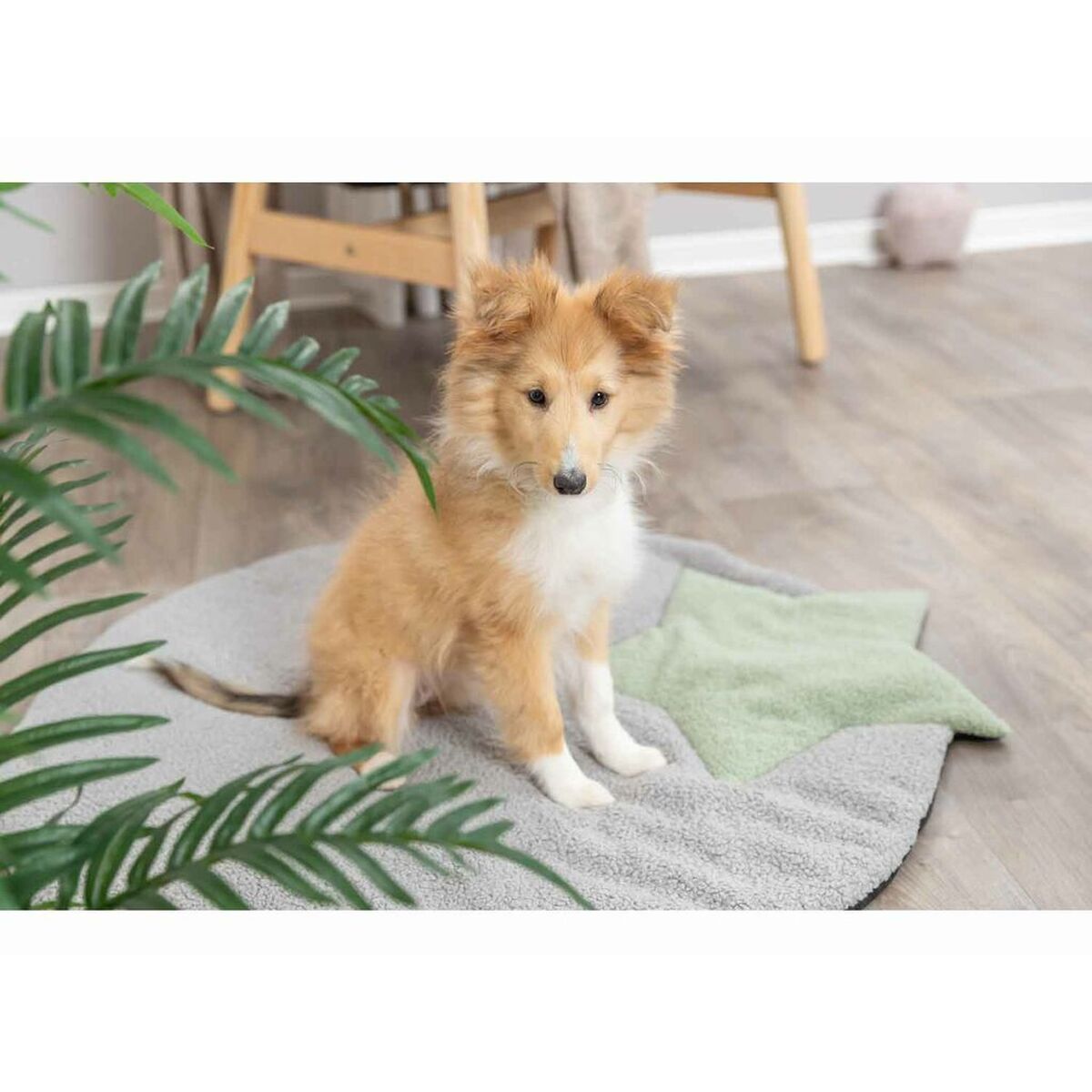 V7H74869939C387AA366913E94B0660EA0DR7446980P9