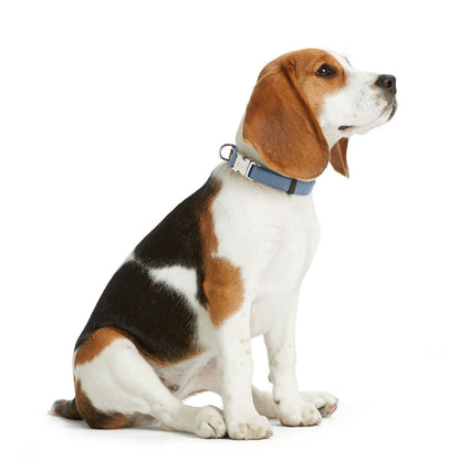 V4H7AAB4A0DA227D64B2223DCC3E9ABA6C1R5582612P2