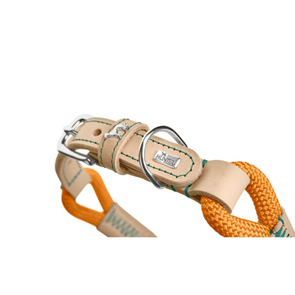 V4H7A7BD54493ECB39414CB780F6F818D0CR5575450P5