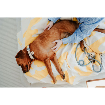 V5HCD140FD2BB2E929FC3A8A2BDE90E078CR5575510P5