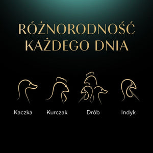 V3H31E40217B4CC569D1463BAFDFAD5E35DR4903978P9