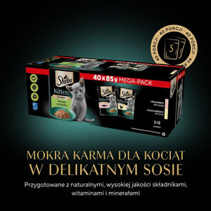 V3HDEE8C1D5173E18A885A9702E0F639B68R4903958P10