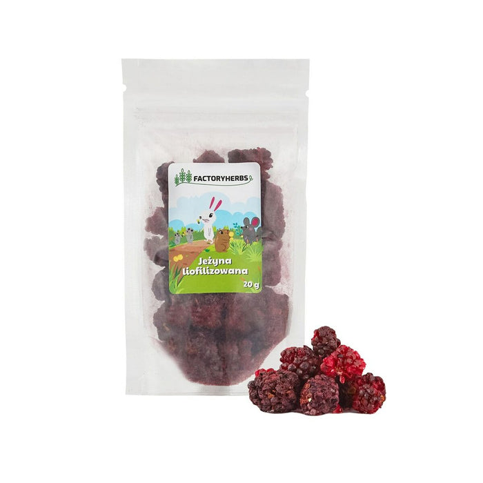 Rabbit Food Factoryherbs Freeze-dried blackberry Chichilla Guinea pig Hamster Rat Mouse Rodents Birds