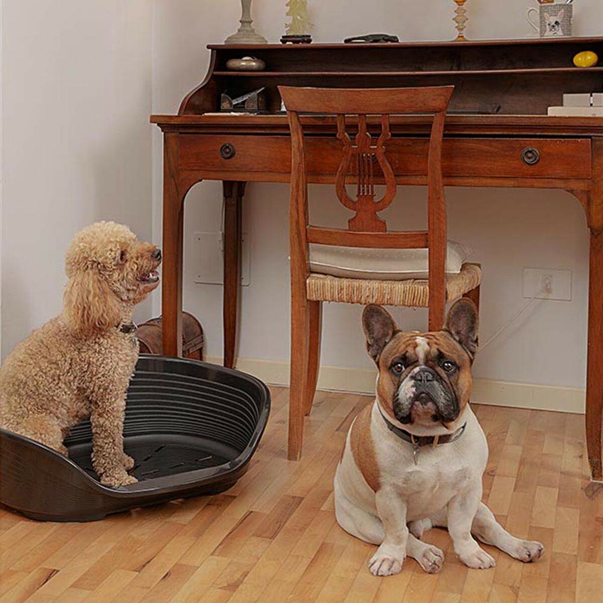 V6H7C7EEC30D3AED769DB1B29FB3EF1B71FR4558507P6