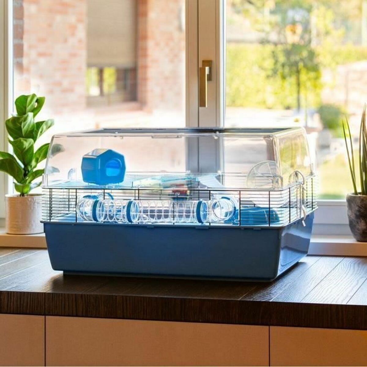 V4H41CB2FDD7BB3F9882D1EA8BEEBEF5CF5R5780515P3