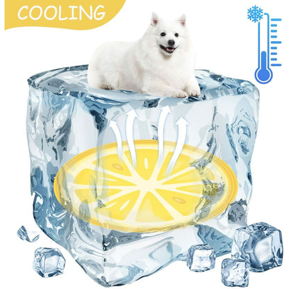 V5H441116792D228D24A9E606825647E116R7376883P7