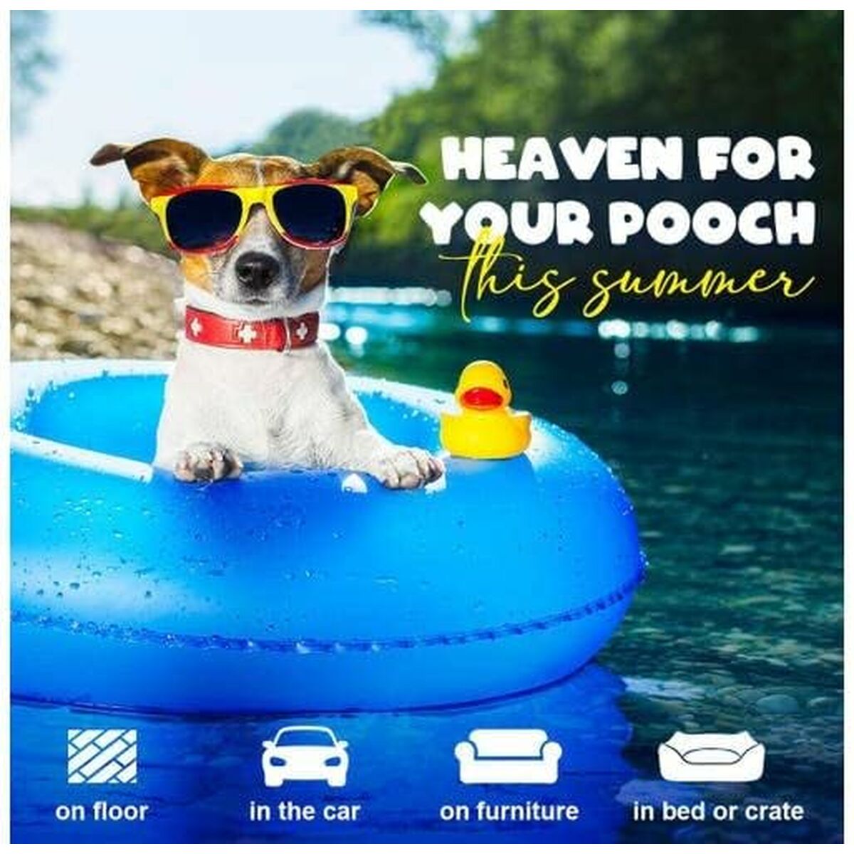 V2HF8CCE517DB1AEA30D2D2203BC2E054B8R7185966P8