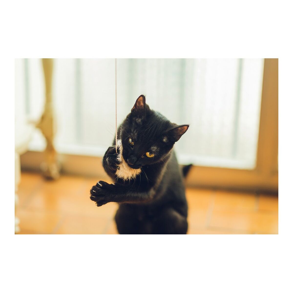 V10H850F2D8185D6DA8A04A450D6A11145A8R4263188P3