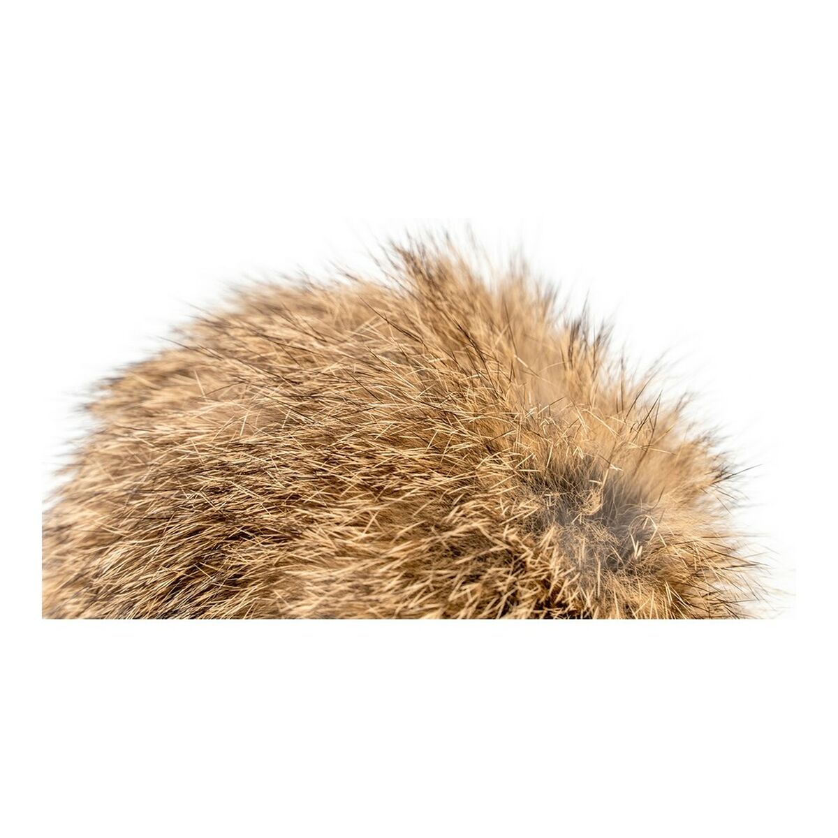 V9HB7112E8F9387F2303E57DC7D1443ED06R4263210P5