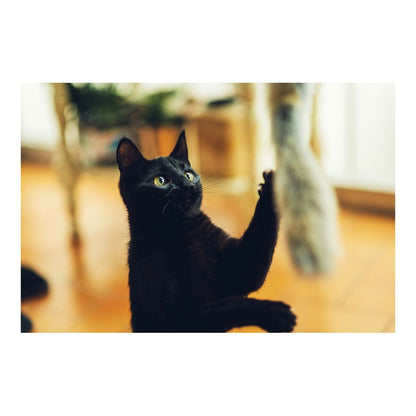 V12H55D4BF7DE337B4525042A3AEF6DF1F1FR4263199P2