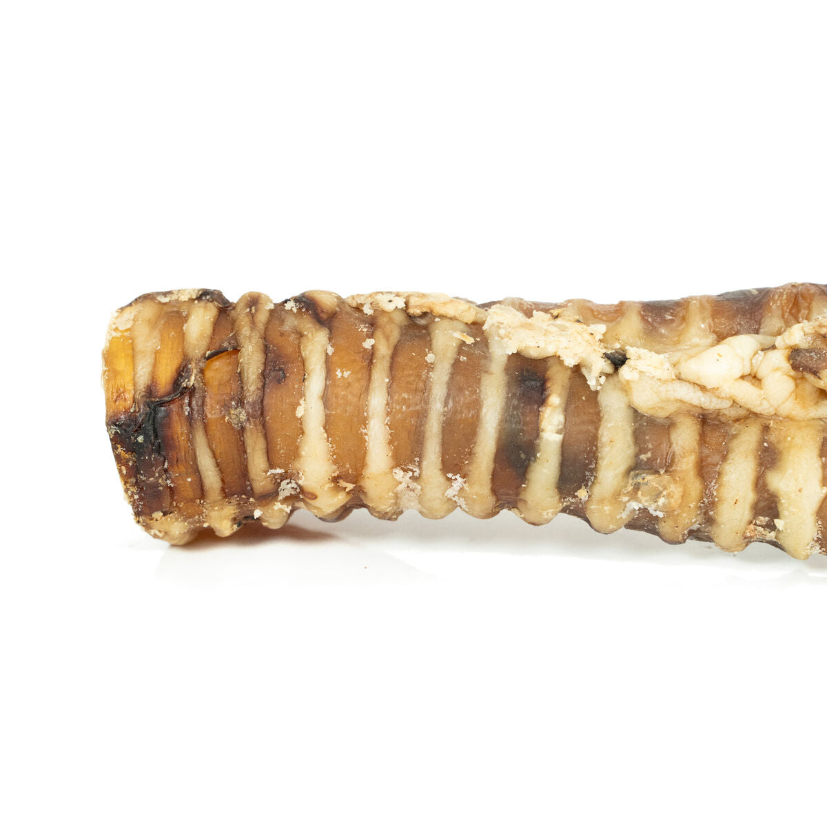 V4H02592850E06A51F94DBD730B7E4F9AE9R4975264P4