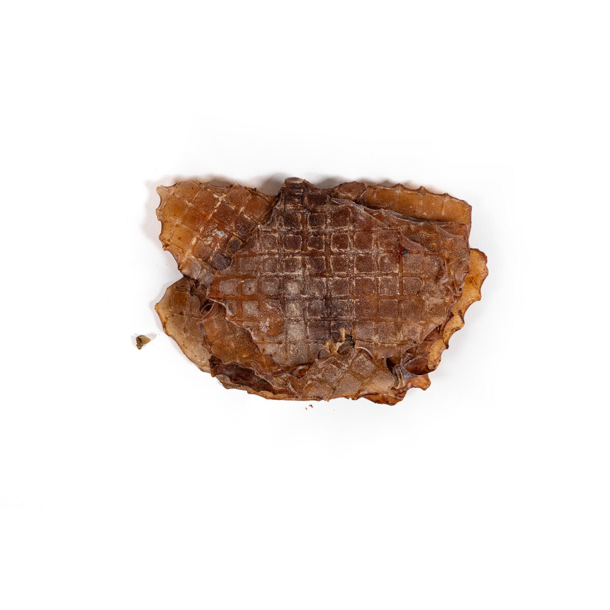 V4H487A16BF26BDDBD50BB60EE22343B3FER5292966P3