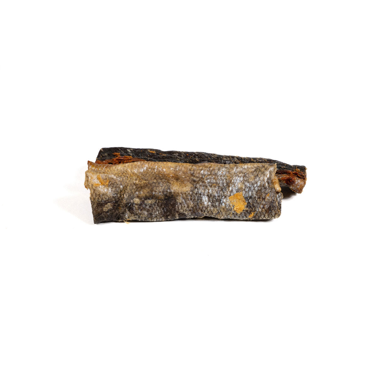 V3H1B0B411E3032A924DBA60CED58040B58R5292972P2