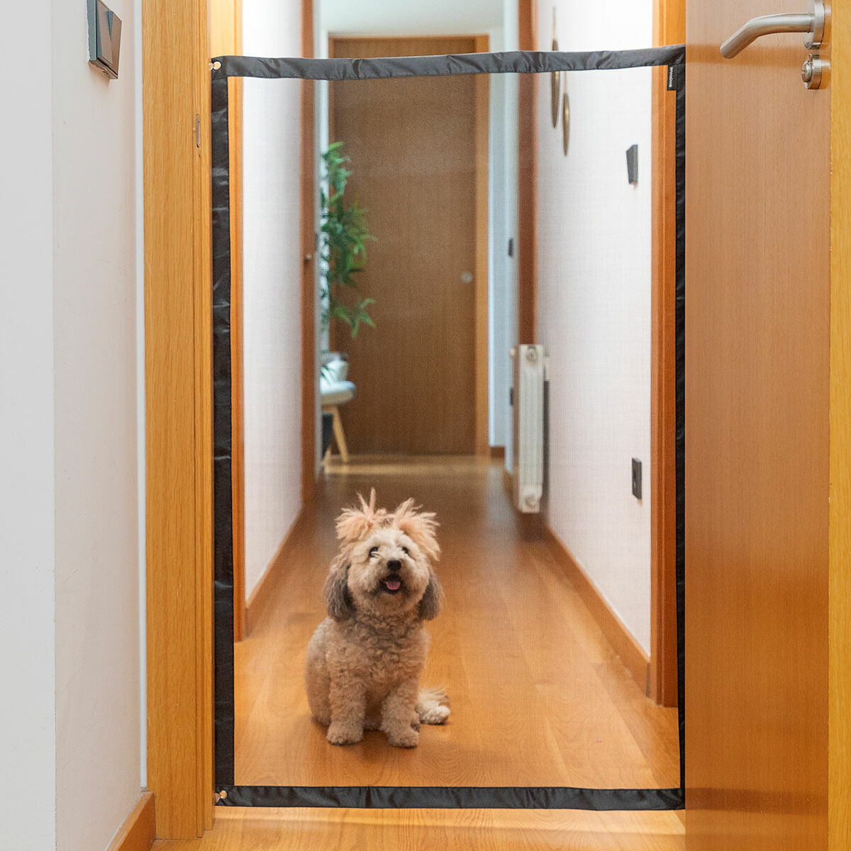 V11H768D201FF251721D4AE34C7588E09029R5262101P6