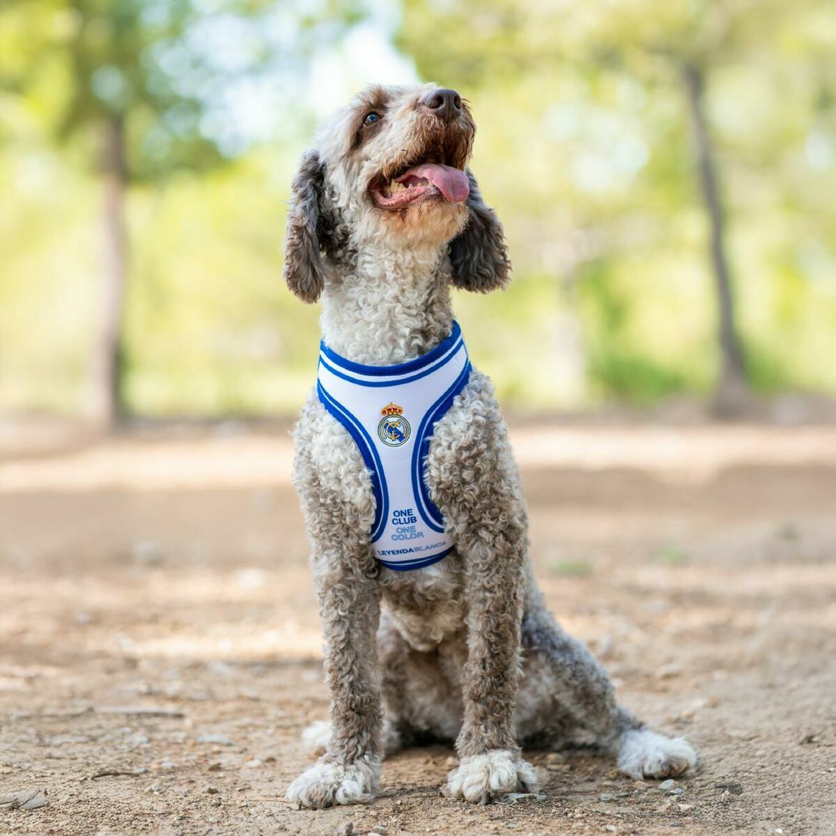 V3H7E1E28EB890B114155A40562F8793319R7186618P3