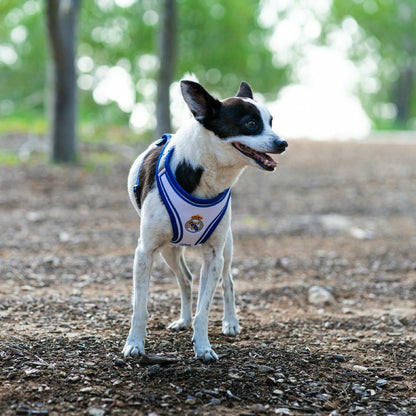 V3H4B54BCABC44ED2C692F94450EF983E0ER7186619P4