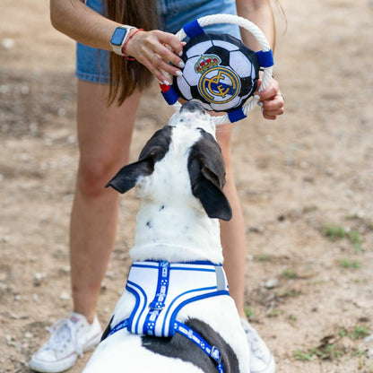 V4HF060AF440EEF430ED6DBA4AC614041DDR7021654P3