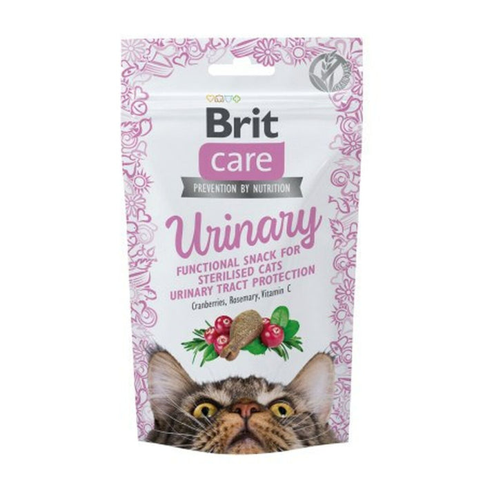 Dog Snack Brit Turkey 50 g