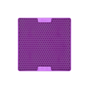 V3H2135DE2C020C1AFE1764EDEE0445203AR4438086P2